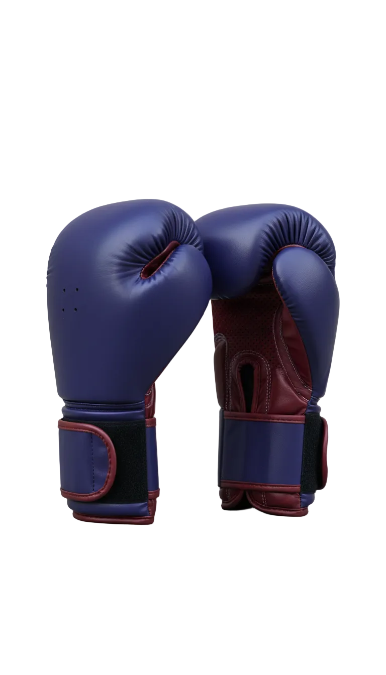 Indigo Boxing Gloves