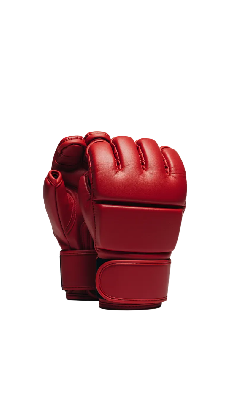 MMA Sparring Gloves