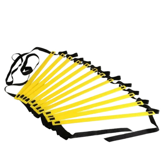 Adjustable Football Ladder